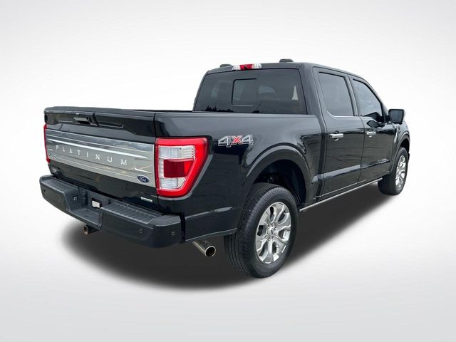 2023 Ford F-150 Platinum photo 3