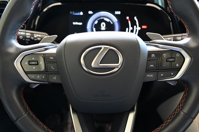 2024 Lexus NX 350h photo 10