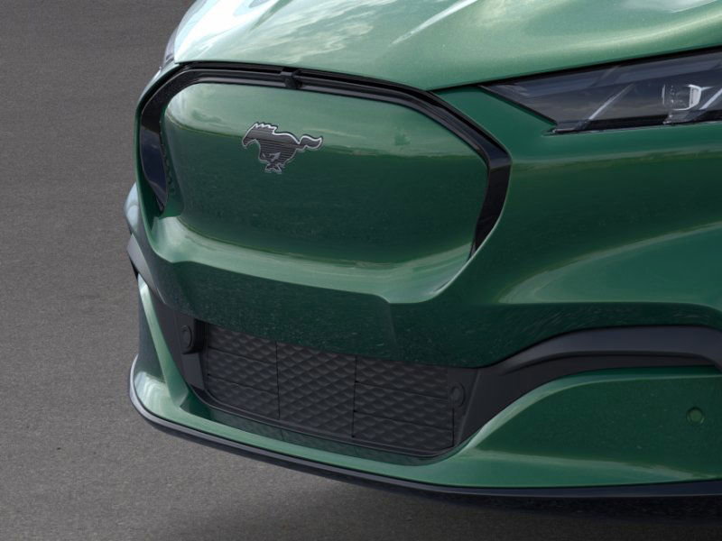 2025 Ford Mustang Mach-E Premium photo 14