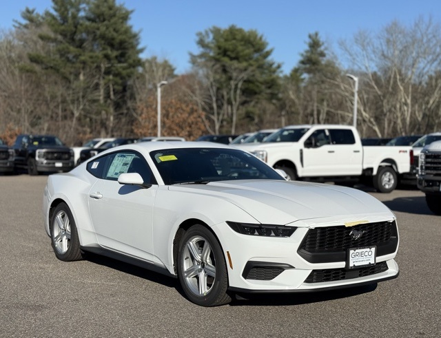 2026 Ford Mustang EcoBoost's photo