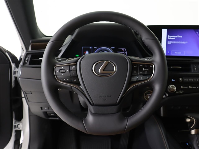 2025 Lexus ES 300h photo 19