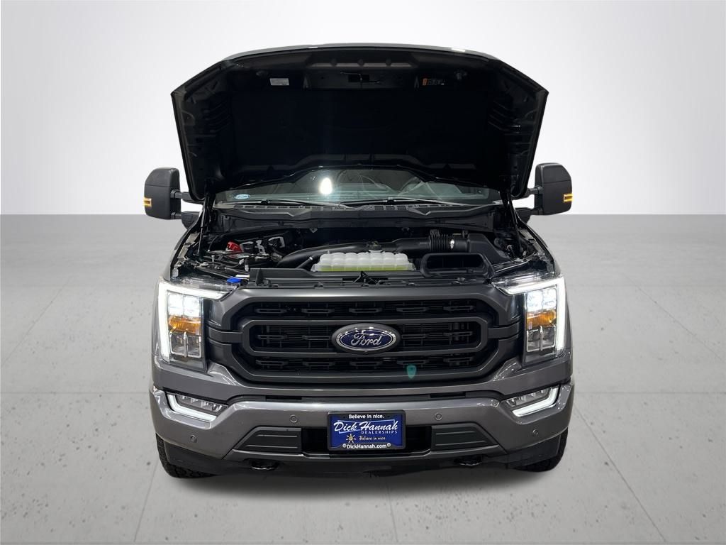 2023 Ford F-150 XLT photo 4