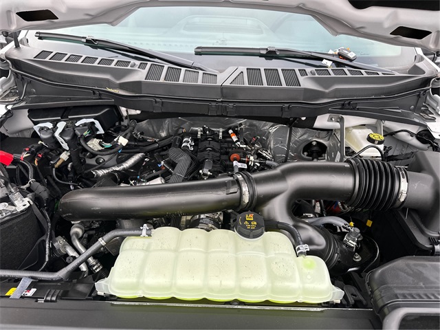 2025 Ford F-150 XLT photo 11