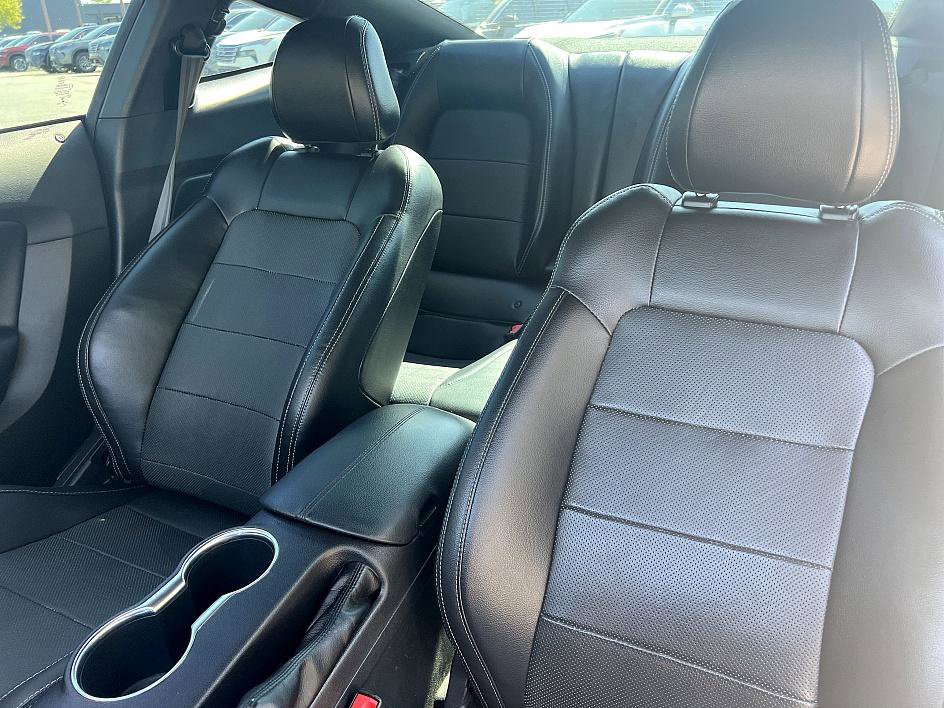 2019 Ford Mustang EcoBoost Premium photo 13