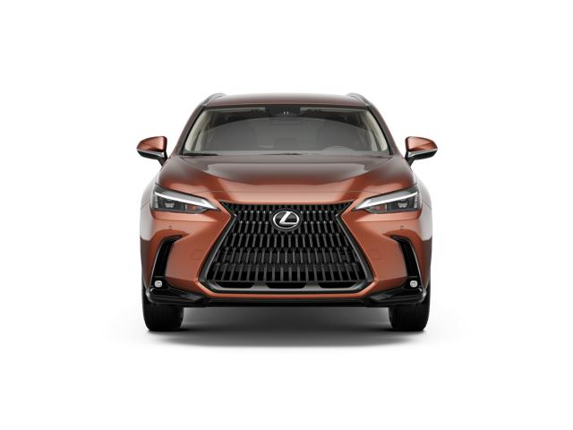 2026 Lexus NX 350 photo 4
