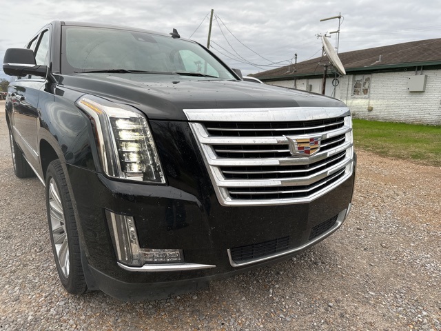 2020 Cadillac Escalade ESV Platinum's photo