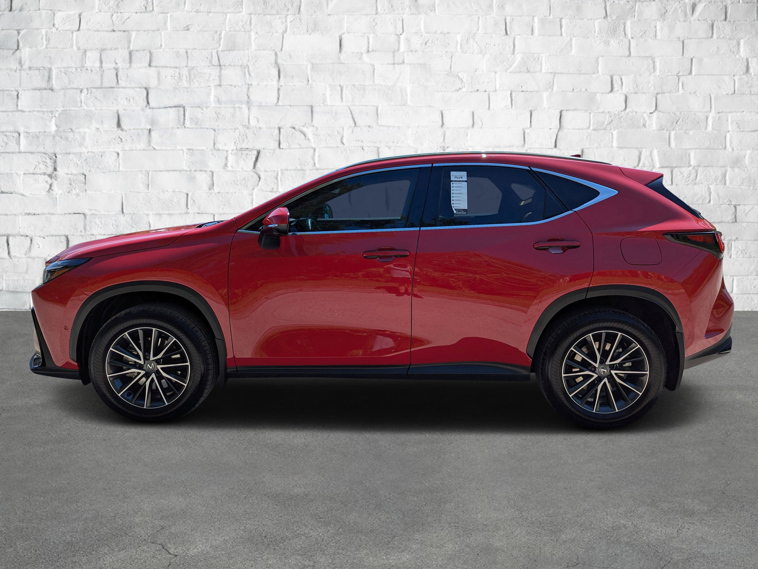 2025 Lexus NX 350h Luxury photo 7