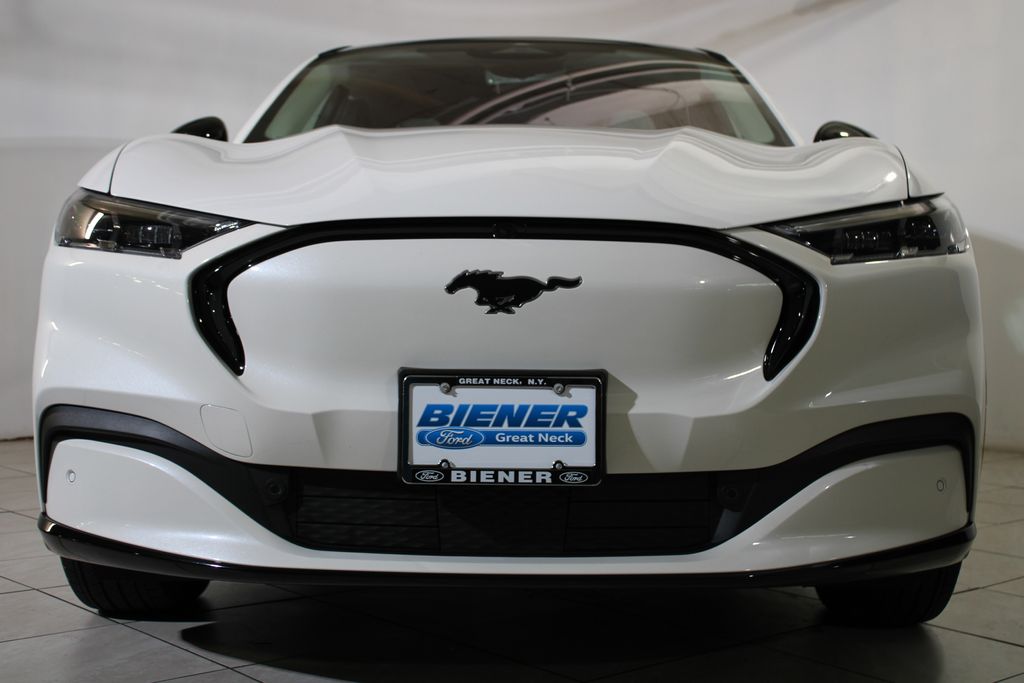 2021 Ford Mustang Mach-E Premium photo 18