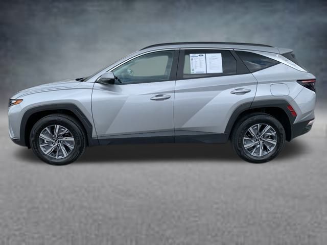 2023 Hyundai Tucson Hybrid Blue Sport photo 4