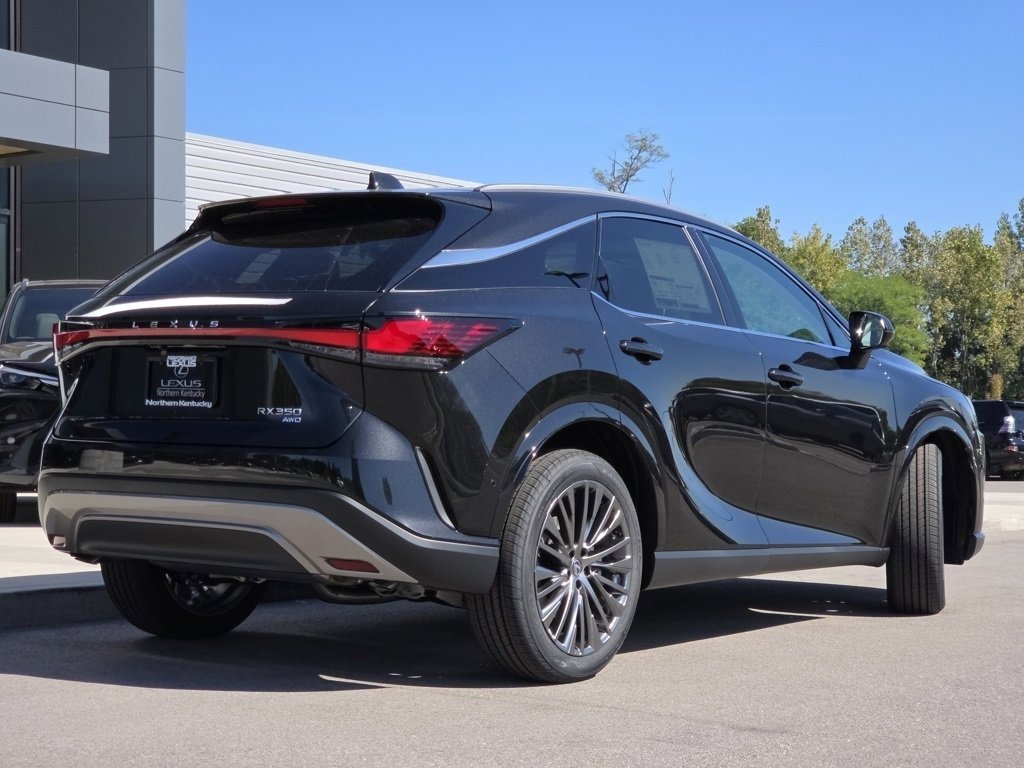 2025 Lexus RX 350 Luxury photo 22