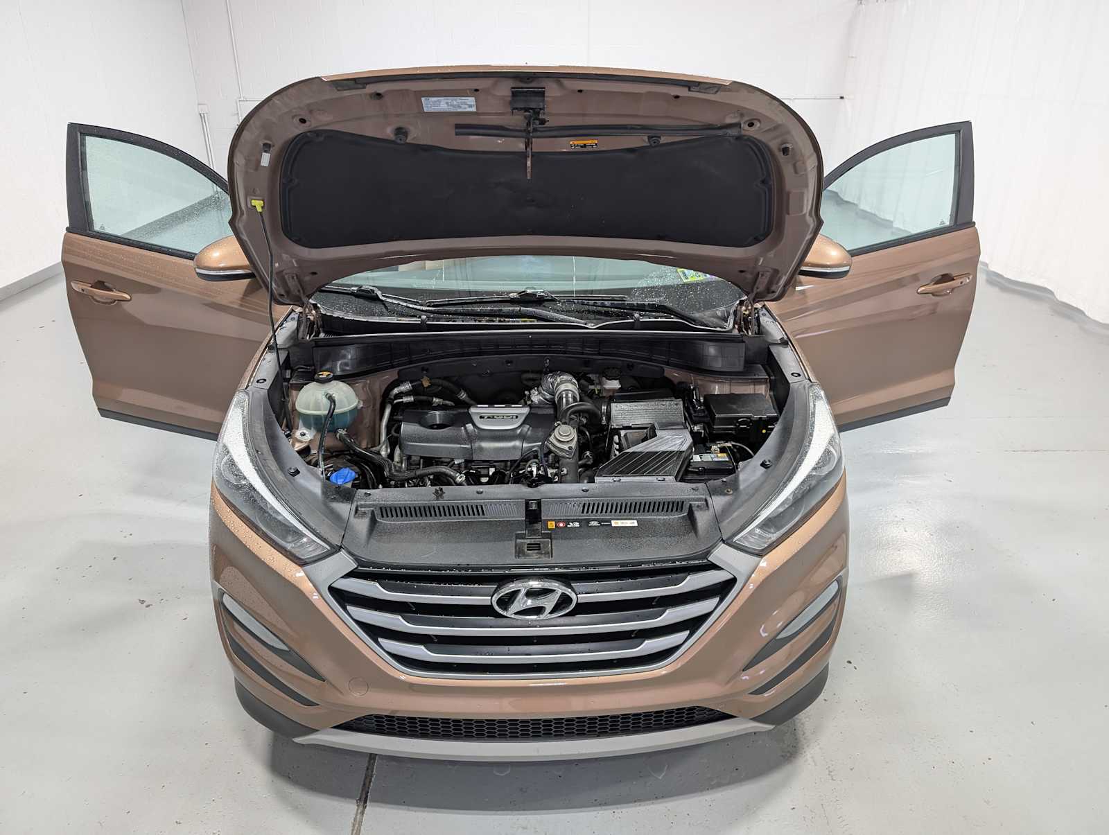 2017 Hyundai Tucson Sport photo 12