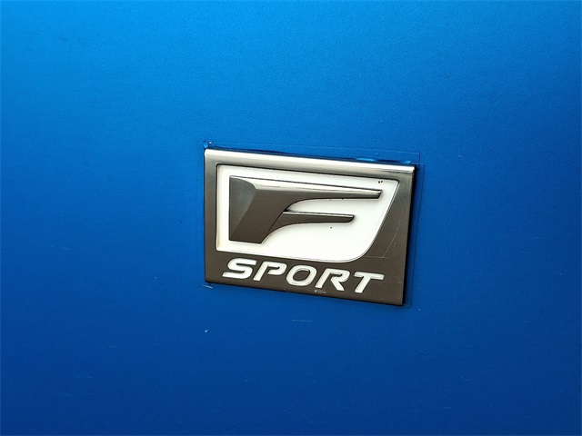 2020 Lexus IS 300 F SPORT photo 29
