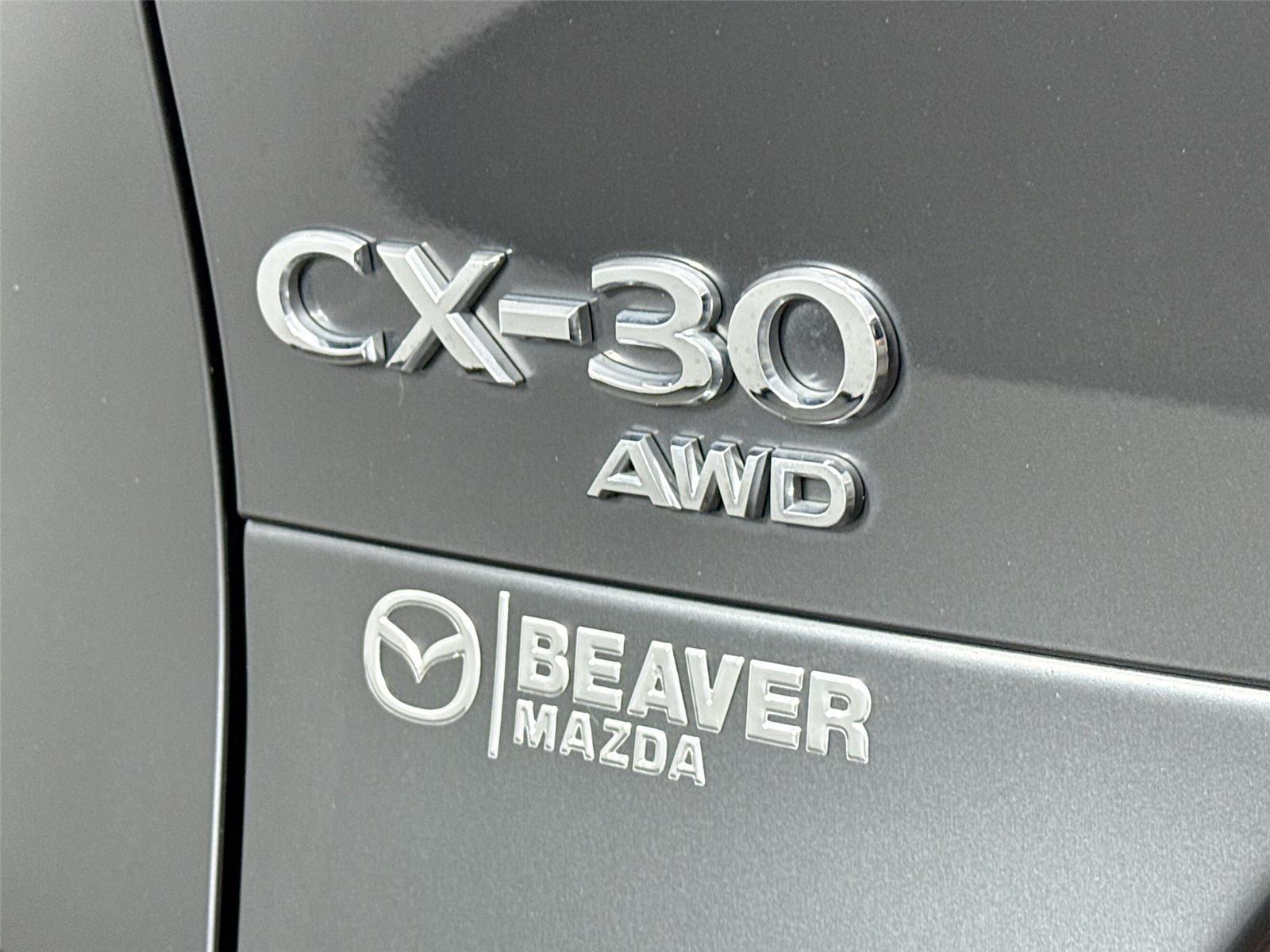2022 Mazda CX-30 2.5 Turbo Premium photo 11