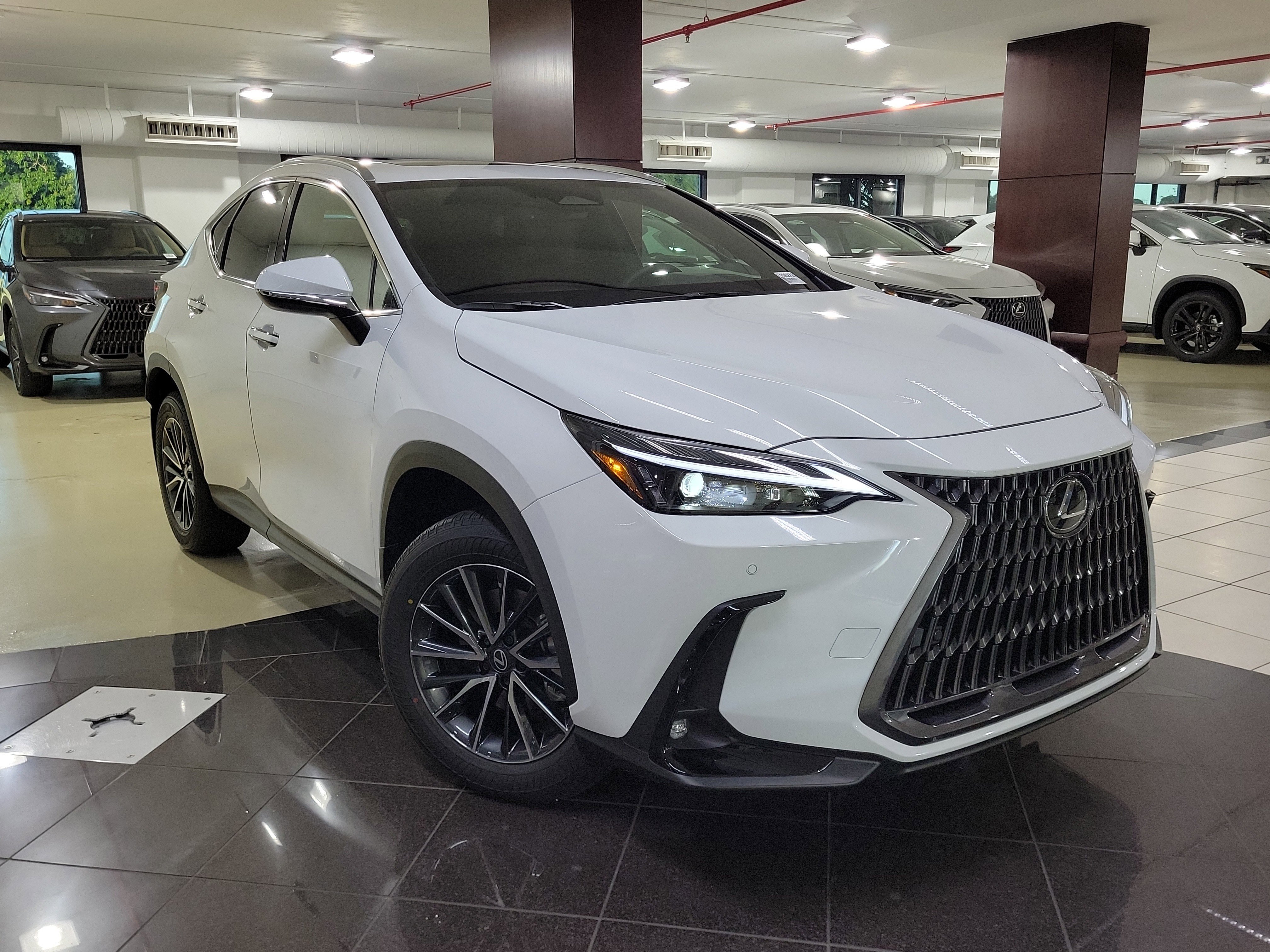 2026 Lexus NX 350's photo
