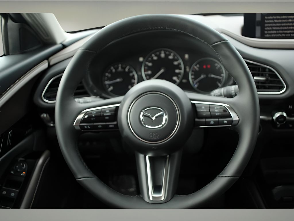 2025 Mazda CX-30 2.5 Turbo Premium Plus Sport photo 15