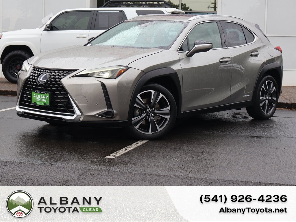2020 Lexus UX Hybrid