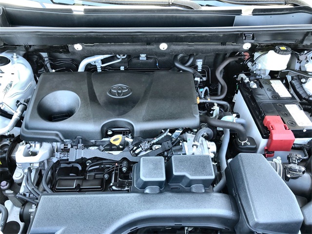 2024 Toyota RAV4 XLE photo 14