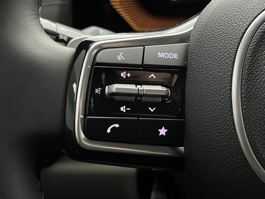 2025 Kia Carnival EX photo 28