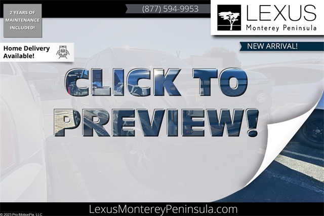 2024 Ford F-150 Lightning's photo