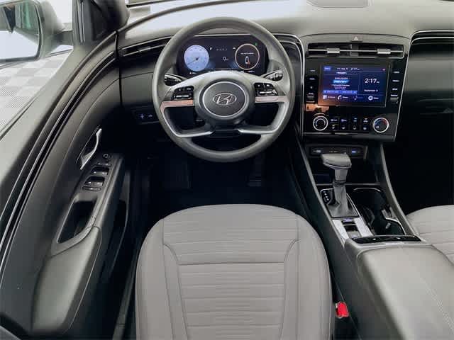 View 25