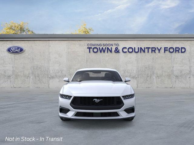 2025 Ford Mustang EcoBoost photo 15
