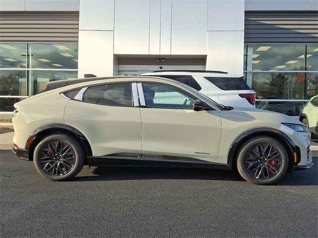 2025 Ford Mustang Mach-E Premium AWD's photo