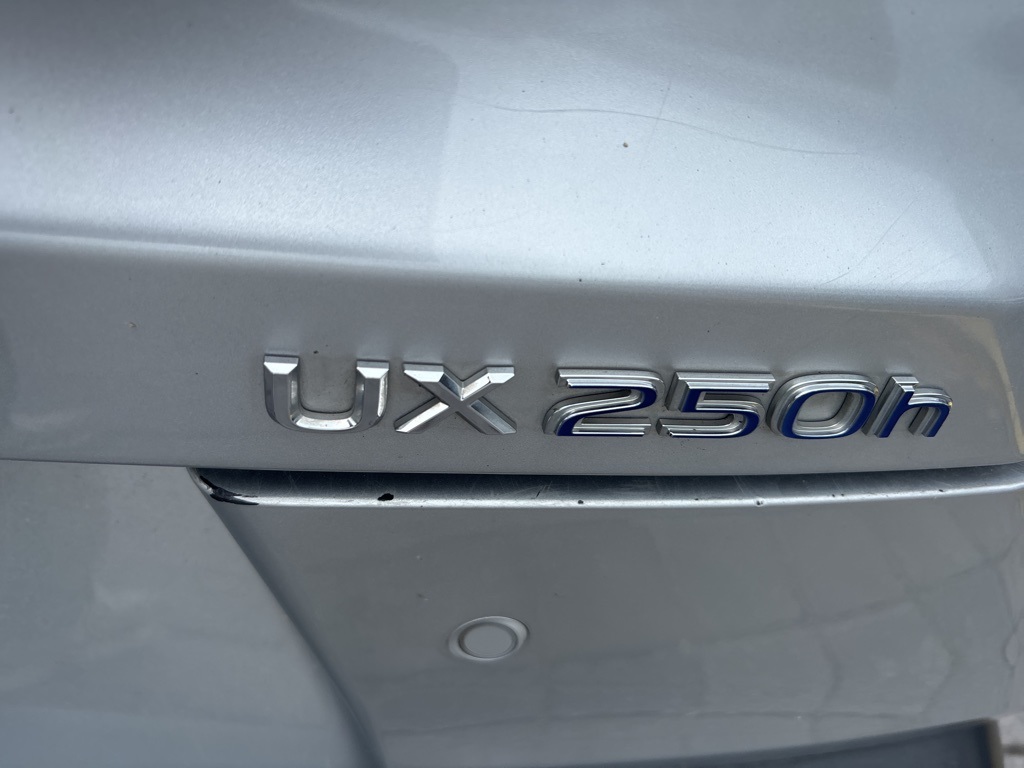 2020 Lexus UX 250h Premium photo 5