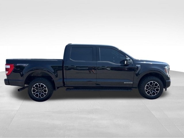 2021 Ford F-150 Lariat's photo