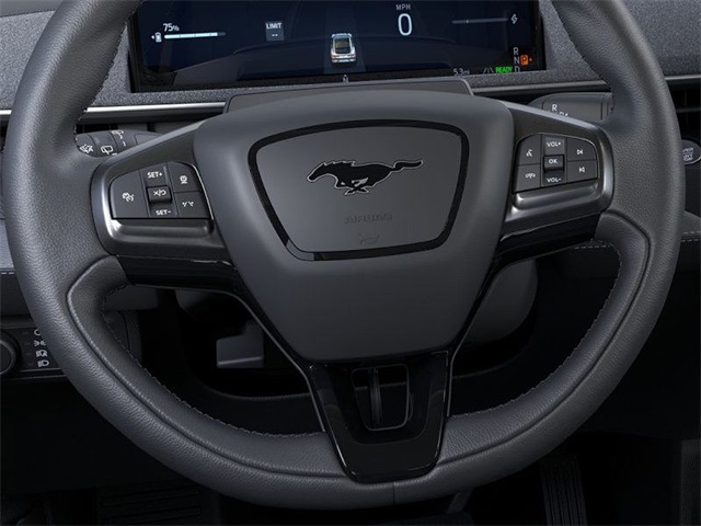 2025 Ford Mustang Mach-E Premium photo 12