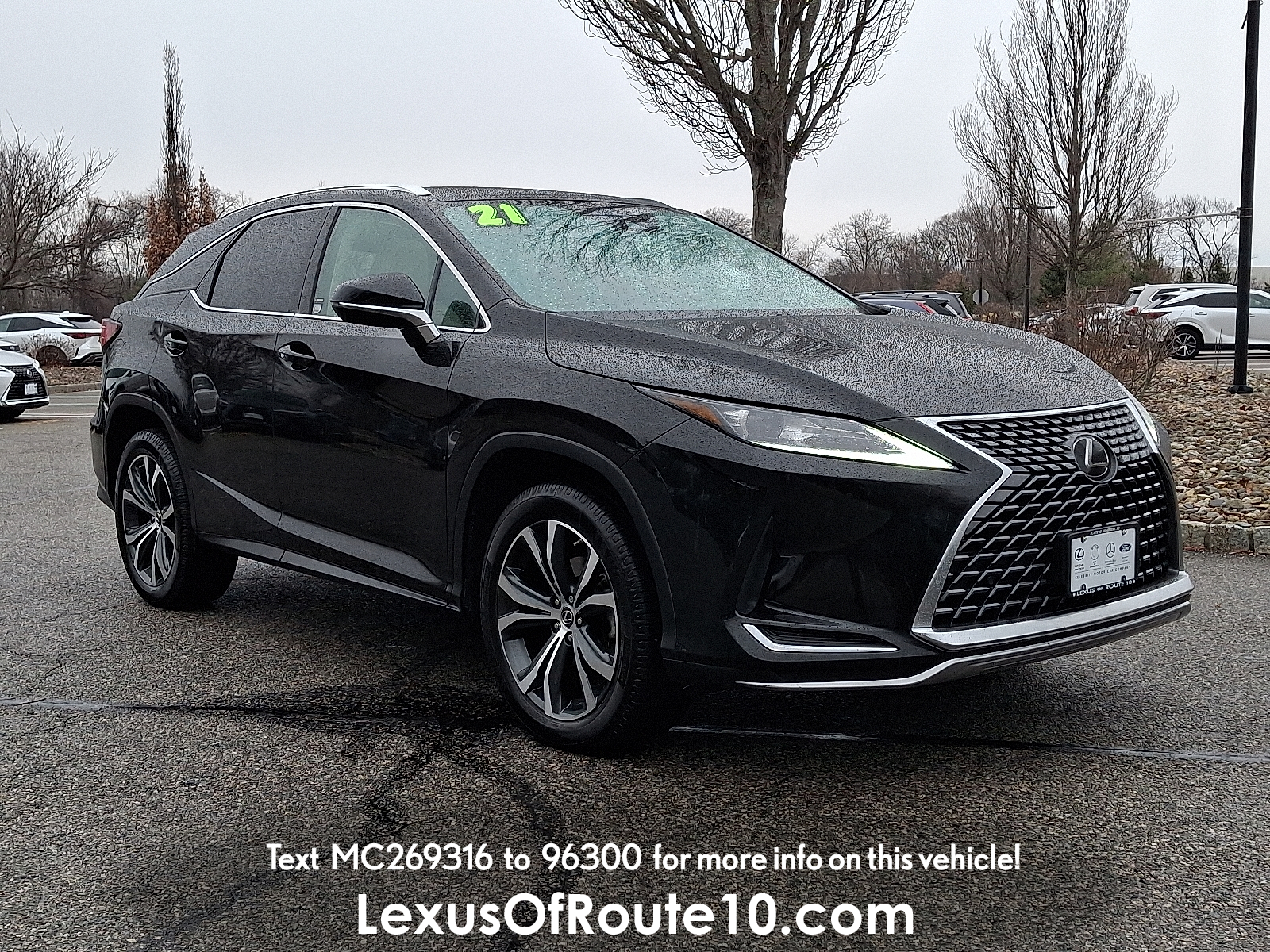 2021 Lexus RX 350's photo