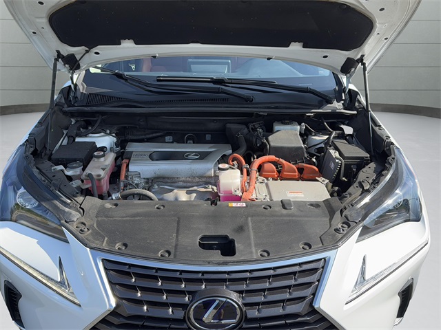2020 Lexus NX 300h Premium photo 18