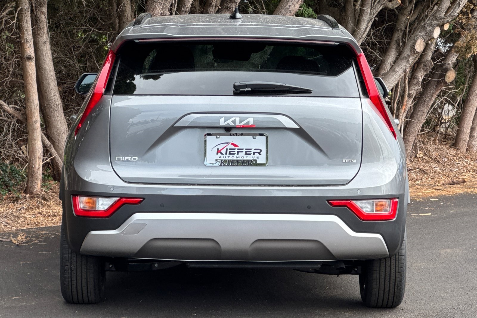 2025 Kia Niro EX Touring photo 3