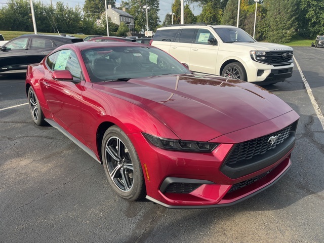 2025 Ford Mustang EcoBoost photo 3