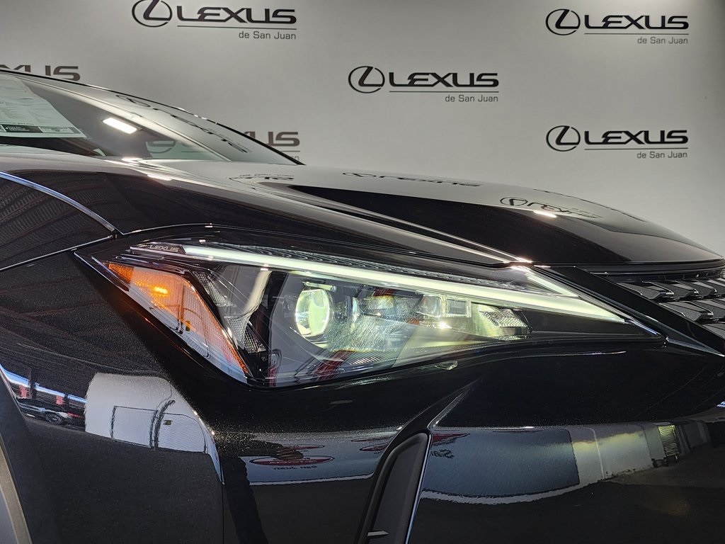 2025 Lexus UX photo 5