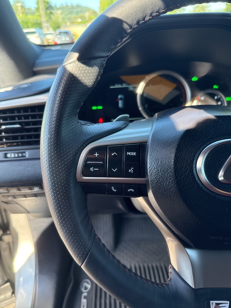 2019 Lexus RX 450h F SPORT photo 43