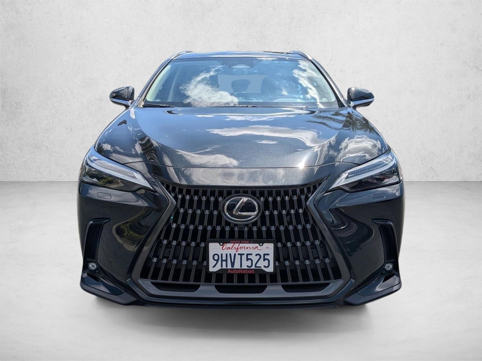 2024 Lexus NX 350 Luxury photo 2