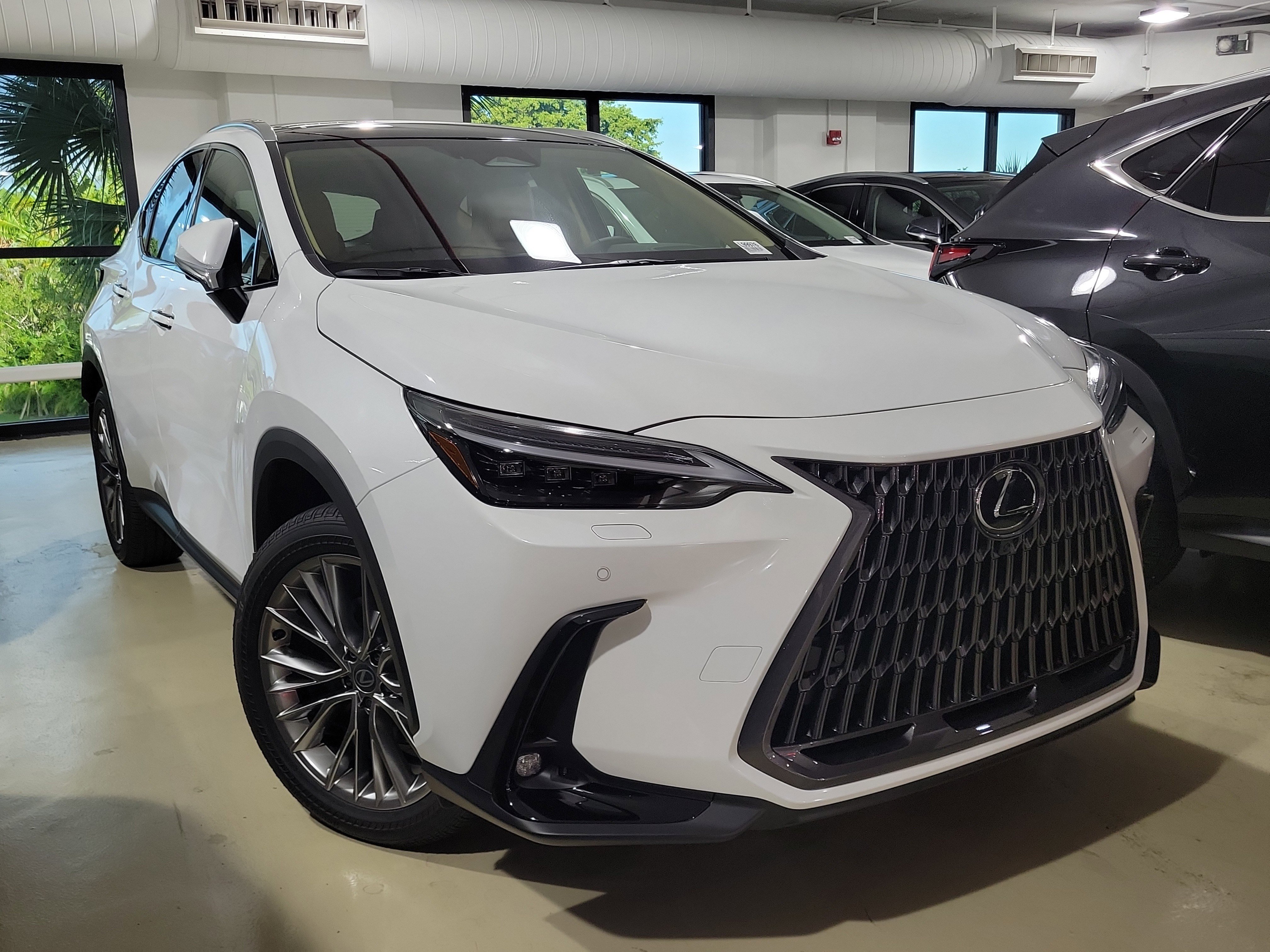2026 Lexus NX 350's photo