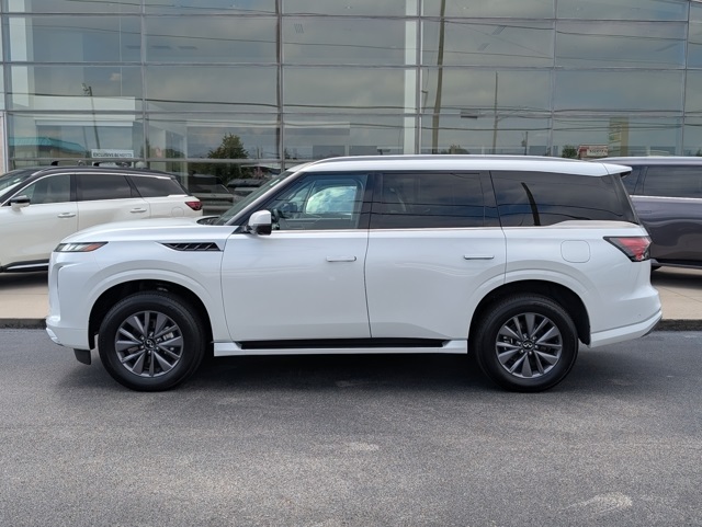 2025 Infiniti QX80 Pure photo 2