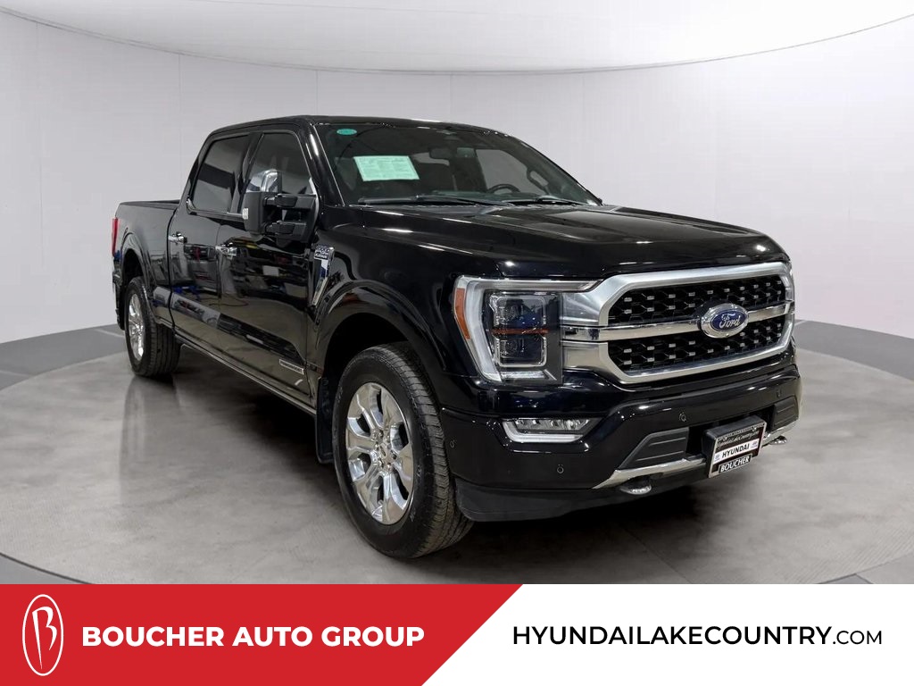 2023 Ford F-150 Platinum's photo