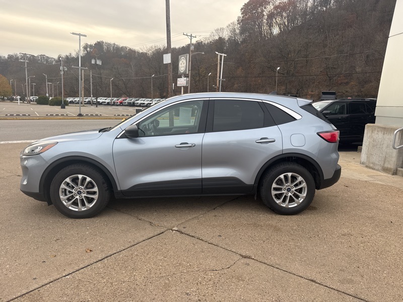 2022 Ford Escape SE Hybrid photo 4