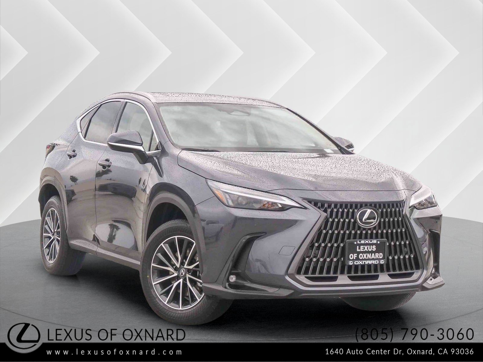 2026 Lexus NX Hybrid 350h's photo