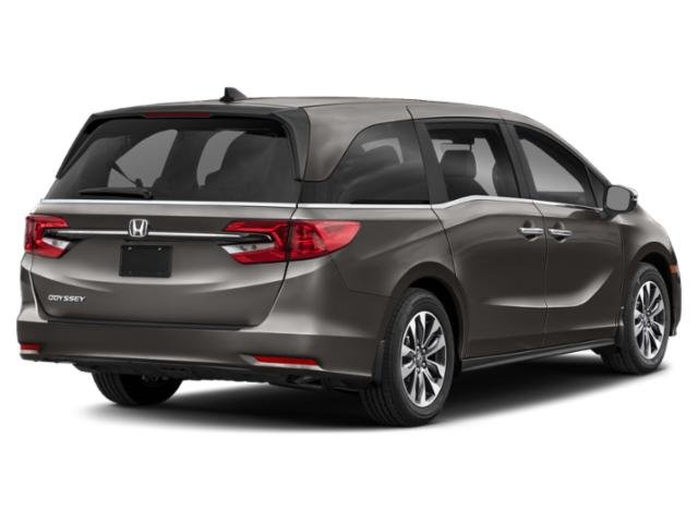 Certified 2022 Honda Odyssey EX-L with VIN 5FNRL6H77NB013372 for sale in Hopkins, Minnesota