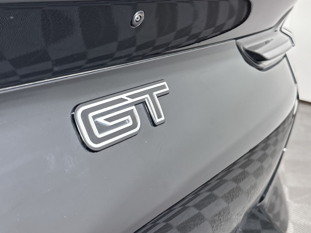 2023 Ford Mustang Mach-E GT photo 10