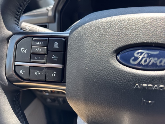 2025 Ford F-150 Platinum photo 19