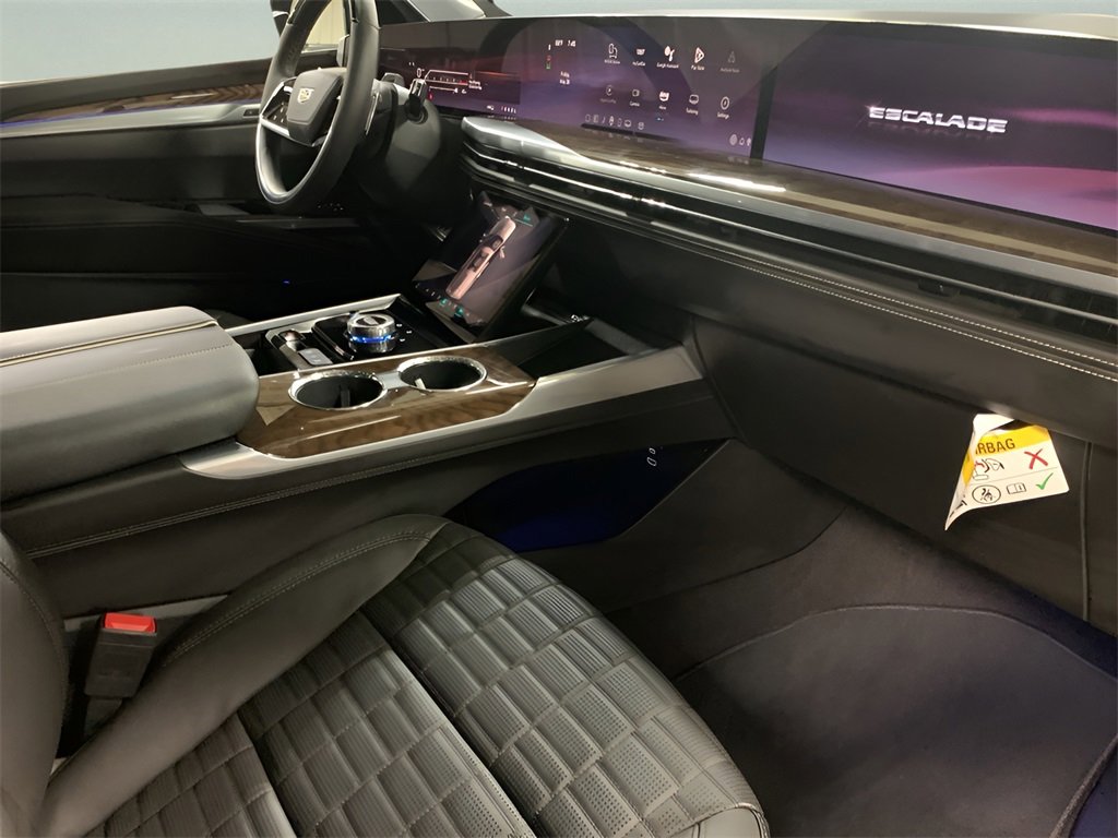 2025 Cadillac Escalade ESV Sport Platinum photo 14