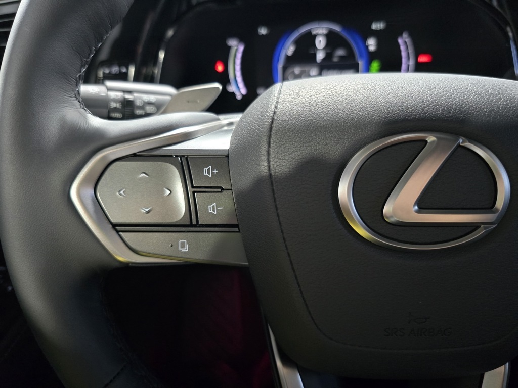 2025 Lexus NX 450h+ Luxury AWD photo 13