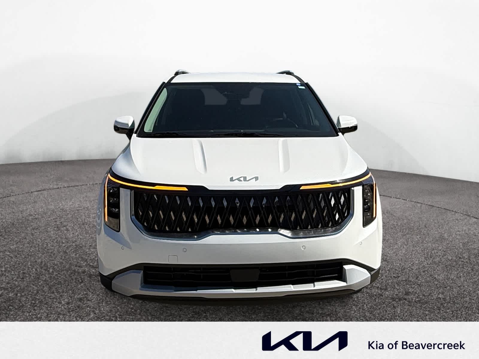2026 Kia Carnival EX photo 8