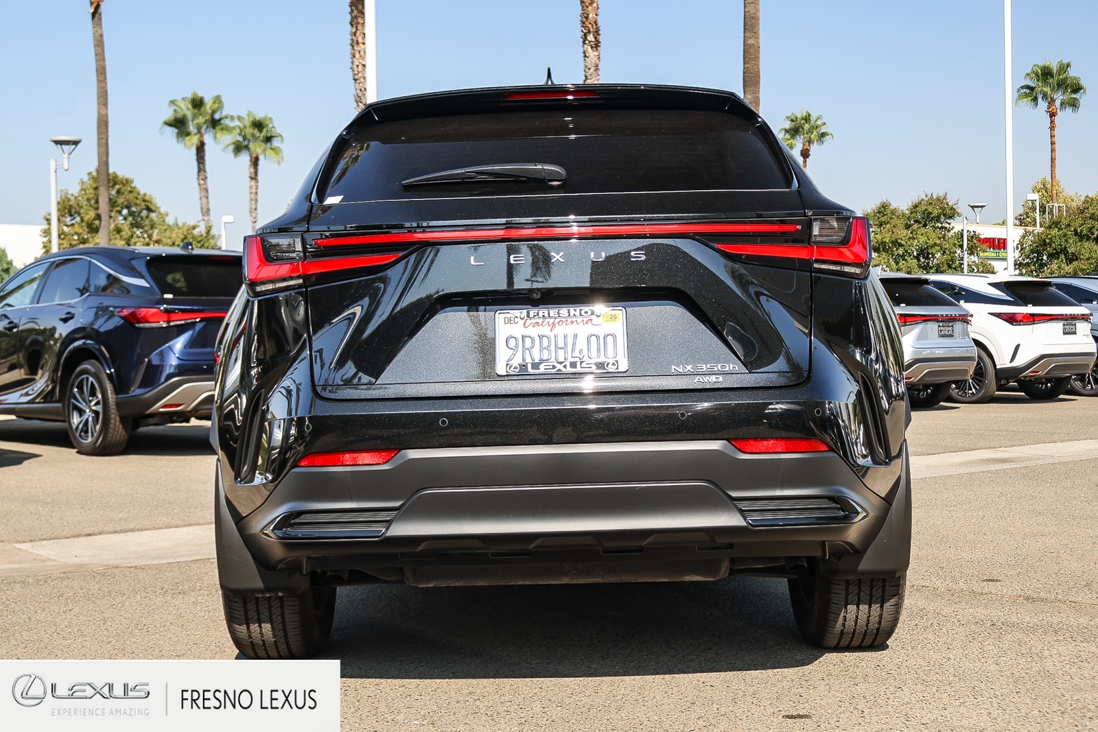 2025 Lexus NX 350h Premium photo 4