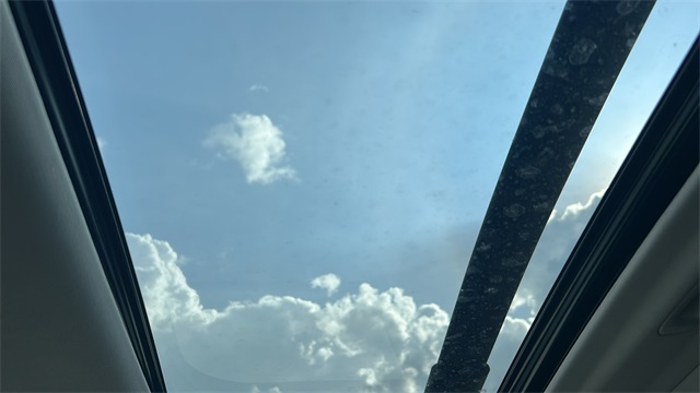 View 31
