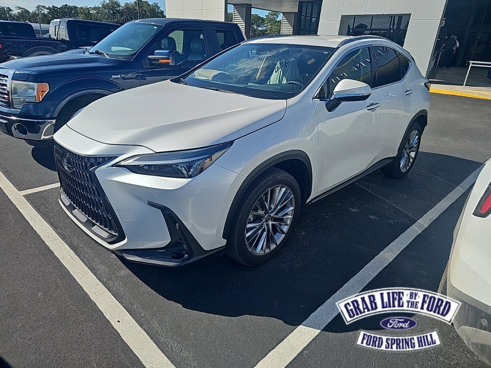 2025 Lexus NX 350's photo